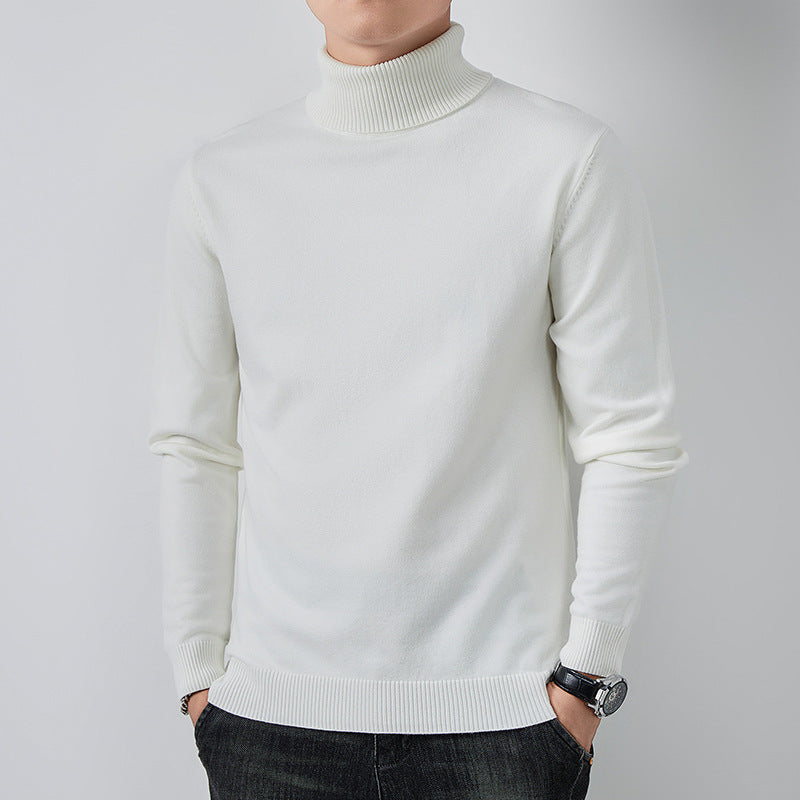 Pure Merino Wool Turtleneck Sweater